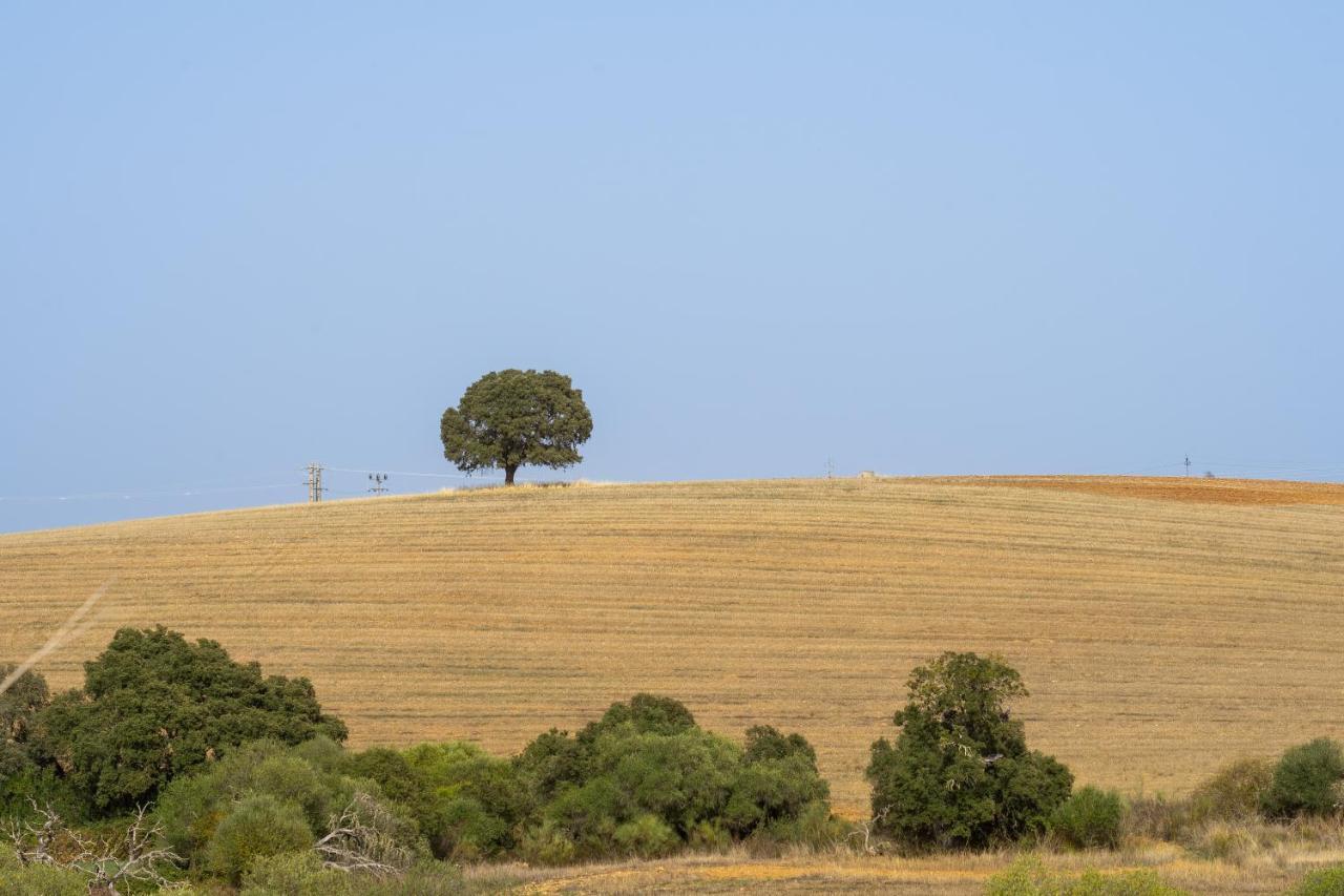 Change The World - Herdade Monte Do Peral Montes Juntos Extérieur photo