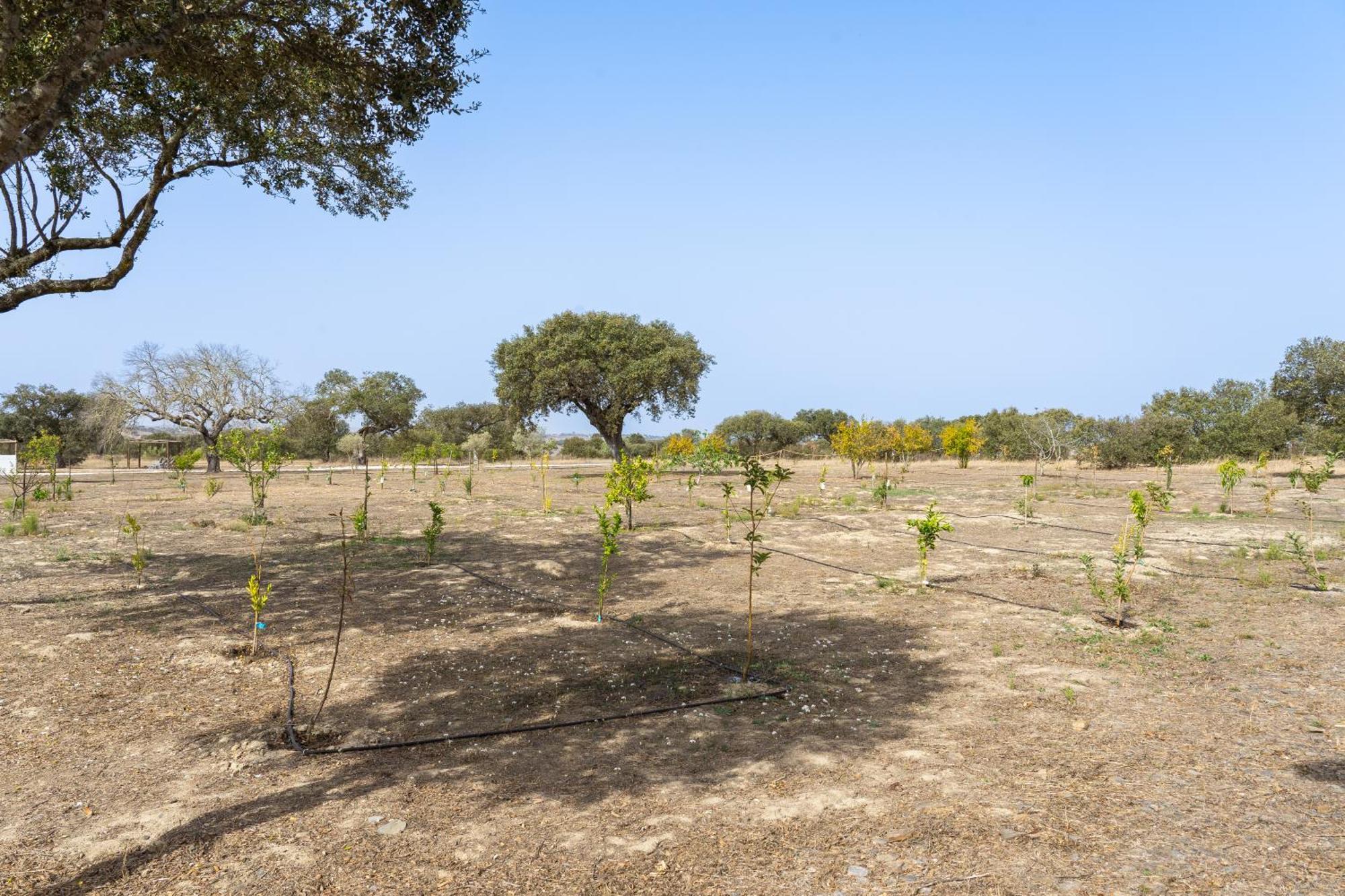 Change The World - Herdade Monte Do Peral Montes Juntos Extérieur photo